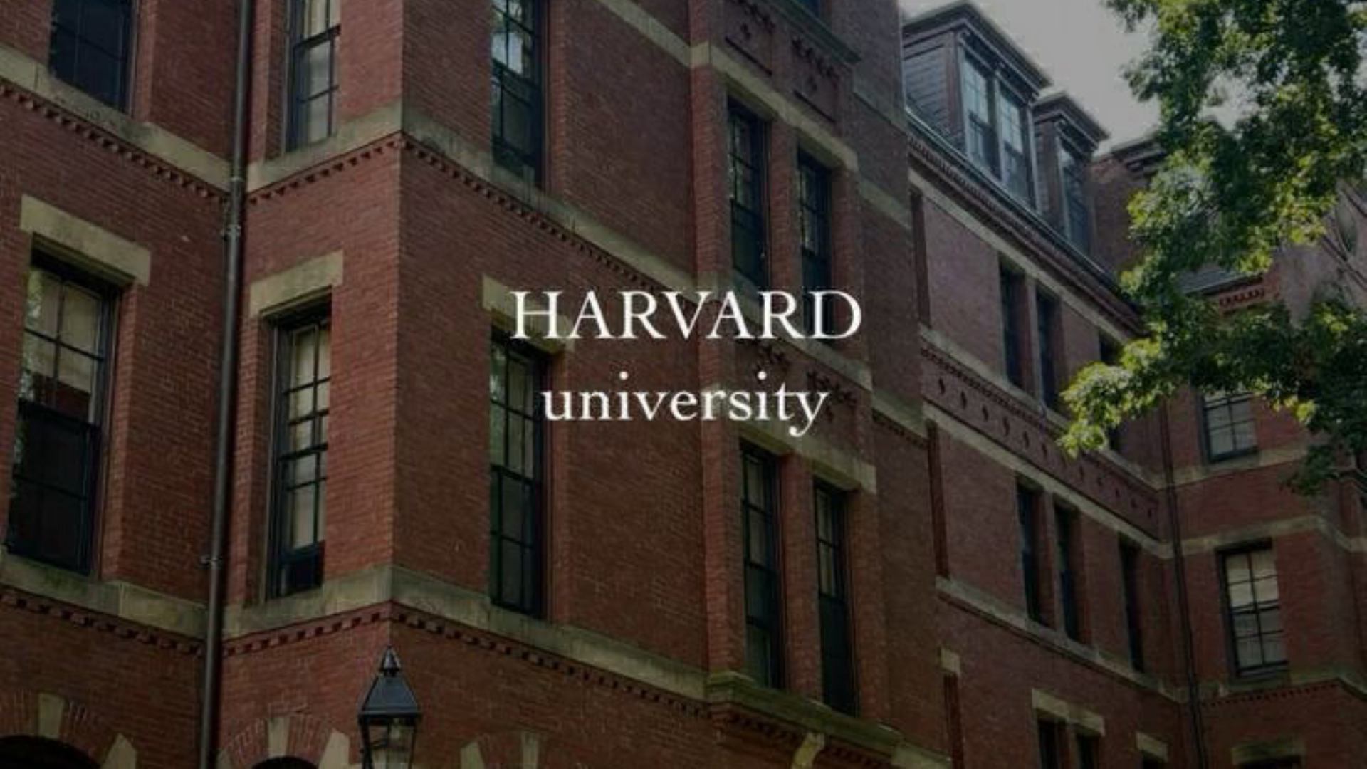 IELTS 7+ | Chet el universitetlariga tayyorlov