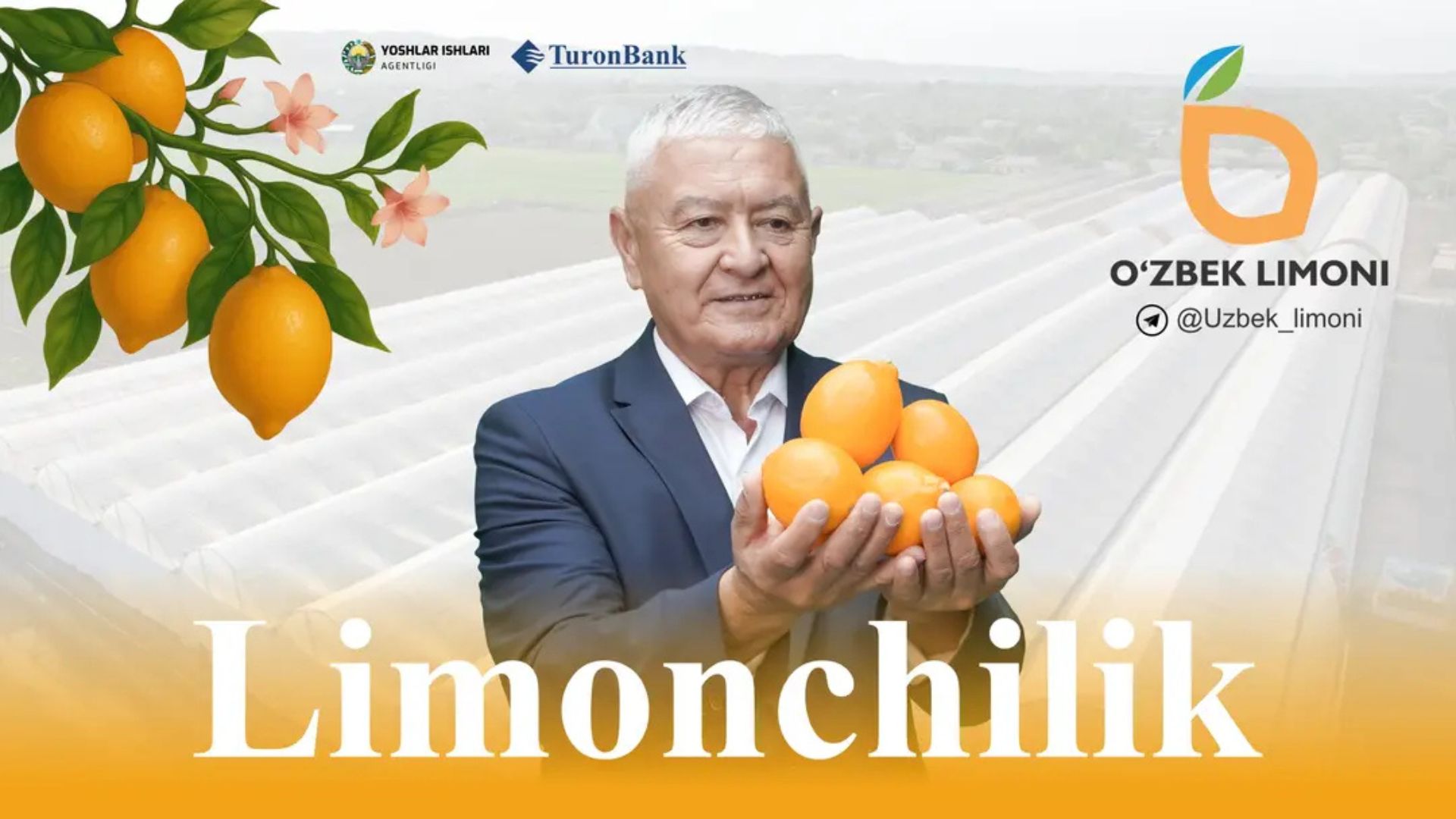 Limonchilik